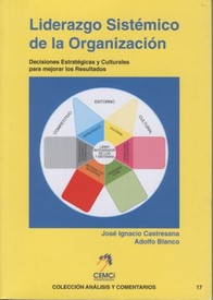 Liderazgo sistémico de la organización. Decisiones estratégicas y culturales para mejorar los resultados