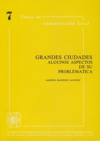 Grandes ciudades. Algunos aspectos de su problemática